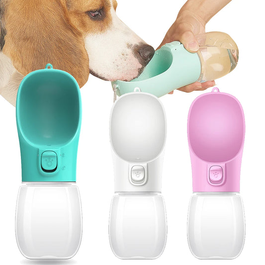 Gourde portable pour animaux